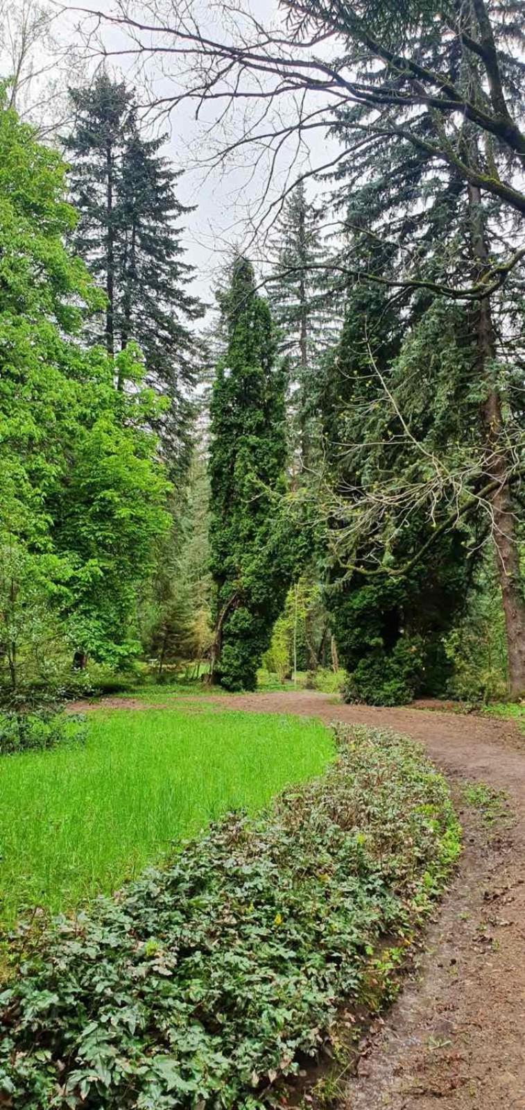 Green Agarak Guest House Near Dendropark, Stepanavan Gyulagarak Kültér fotó